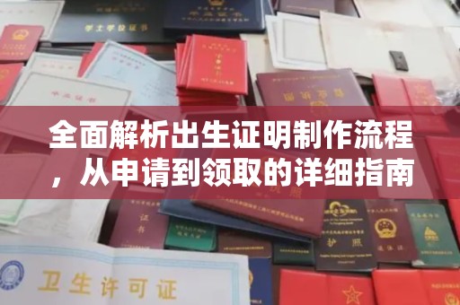 细河全面解析出生证明制作流程，从申请到领取的详细指南